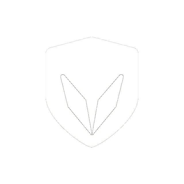 Vault VPS